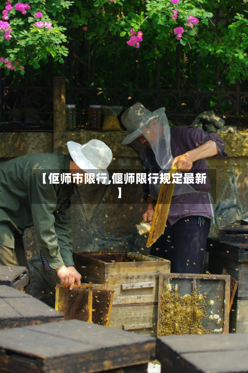 【伛师市限行,偃师限行规定最新】