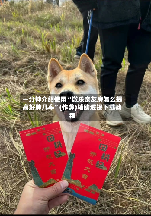 一分钟介绍使用“微乐亲友房怎么提高好牌几率”(作弊)辅助透视下载教程