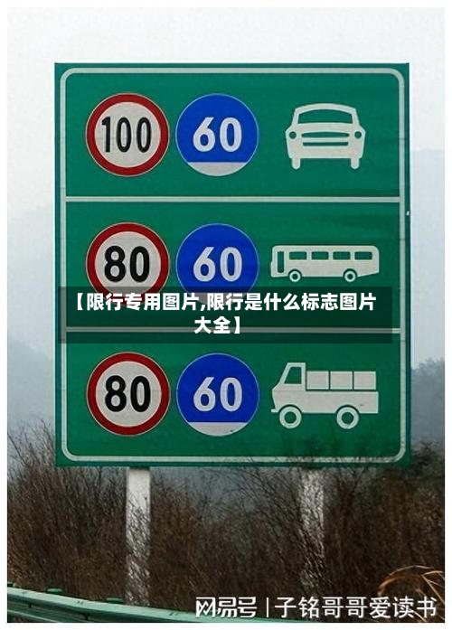 【限行专用图片,限行是什么标志图片大全】-第2张图片