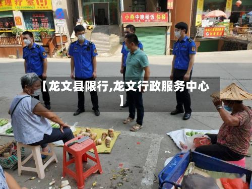 【龙文县限行,龙文行政服务中心】-第3张图片