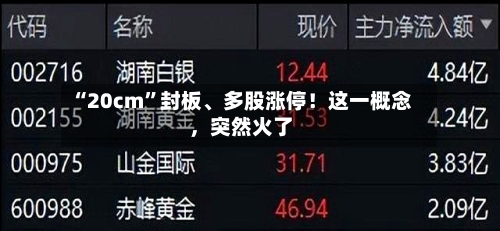 “20cm”封板、多股涨停！这一概念	，突然火了-第2张图片