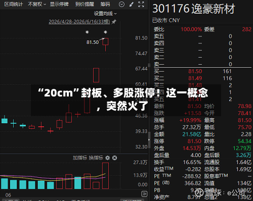 “20cm”封板、多股涨停!这一概念,突然火了