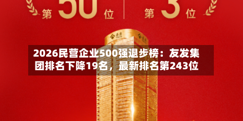 2026民营企业500强退步榜：友发集团排名下降19名，最新排名第243位-第3张图片