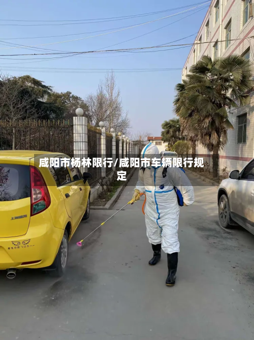 咸阳市杨林限行/咸阳市车辆限行规定-第2张图片