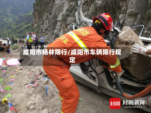 咸阳市杨林限行/咸阳市车辆限行规定-第3张图片