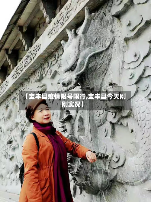【宝丰县疫情限号限行,宝丰县今天刚刚实况】