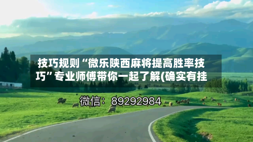 技巧规则“微乐陕西麻将提高胜率技巧”专业师傅带你一起了解(确实有挂-第2张图片
