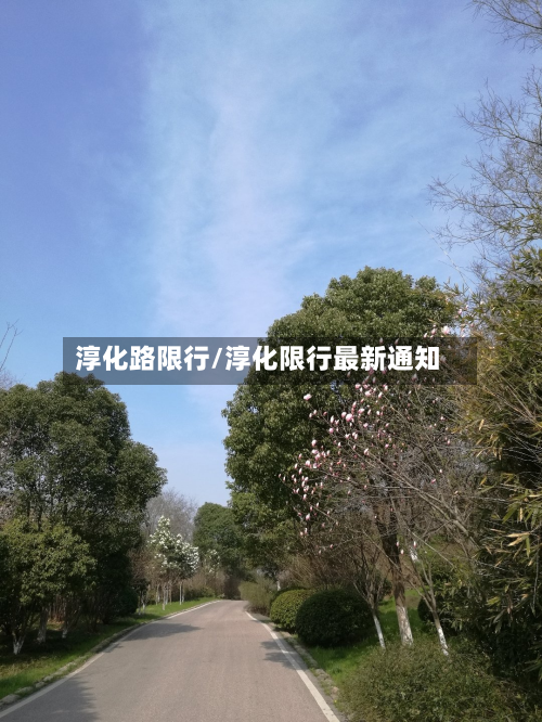 淳化路限行/淳化限行最新通知