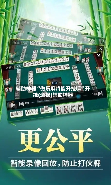 辅助神器“微乐麻将能开挂嘛	”开挂(透视)辅助神器-第2张图片
