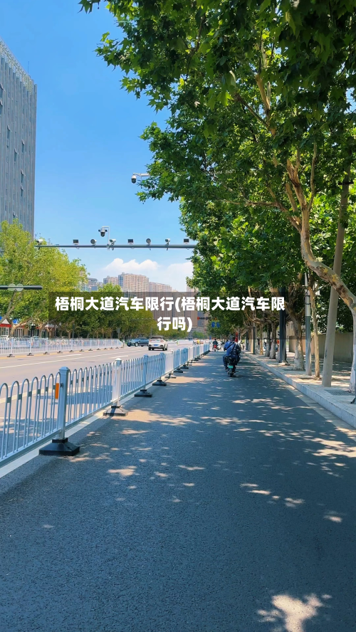 梧桐大道汽车限行(梧桐大道汽车限行吗)