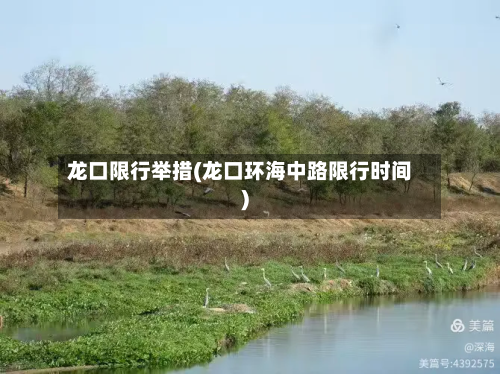 龙口限行举措(龙口环海中路限行时间)