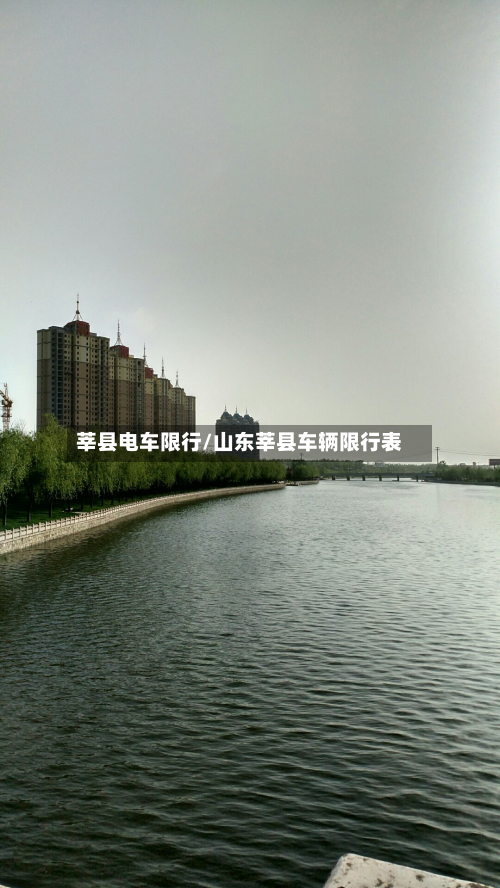 莘县电车限行/山东莘县车辆限行表-第3张图片