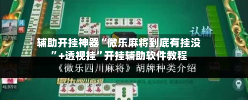辅助开挂神器“微乐麻将到底有挂没”+透视挂	”开挂辅助软件教程-第2张图片