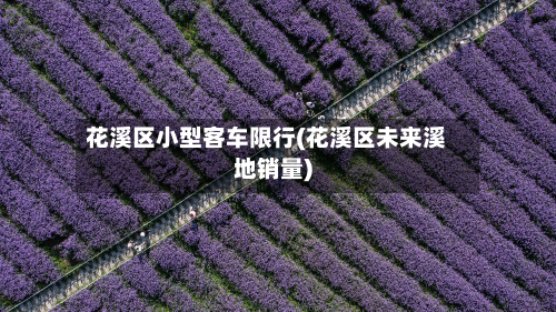 花溪区小型客车限行(花溪区未来溪地销量)