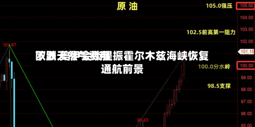 欧洲天然气费用
下跌 美伊会谈提振霍尔木兹海峡恢复通航前景
