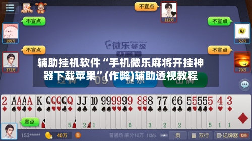 辅助挂机软件“手机微乐麻将开挂神器下载苹果	”(作弊)辅助透视教程-第2张图片