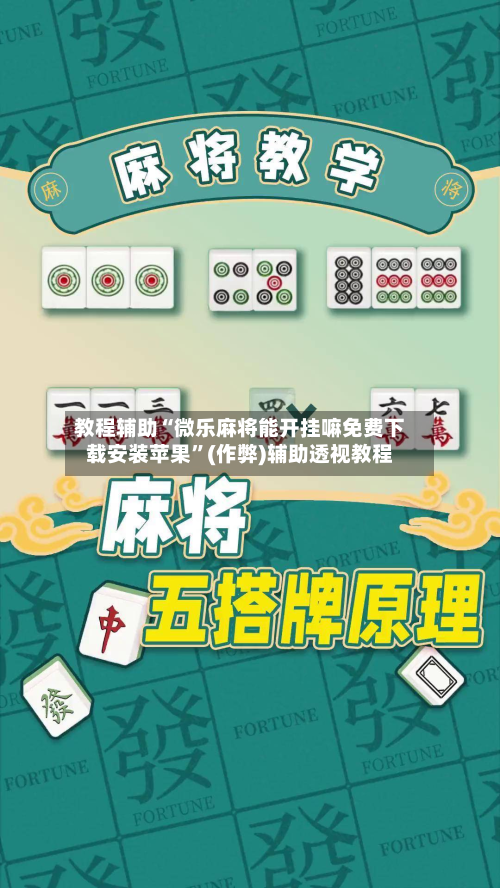 教程辅助“微乐麻将能开挂嘛免费下载安装苹果”(作弊)辅助透视教程-第3张图片