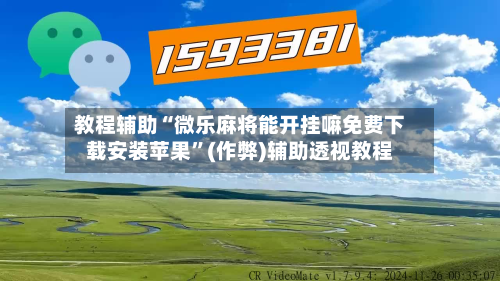 教程辅助“微乐麻将能开挂嘛免费下载安装苹果”(作弊)辅助透视教程