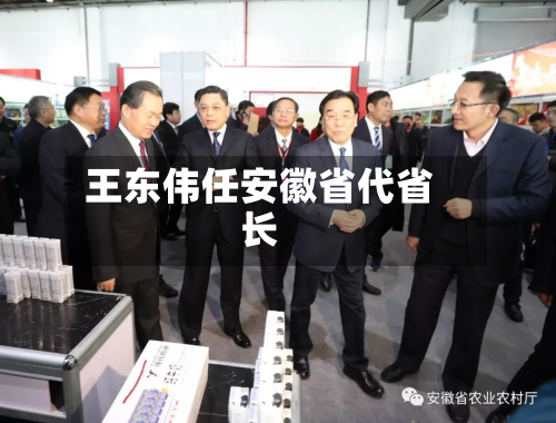 王东伟任安徽省代省长