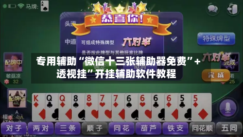 专用辅助“微信十三张辅助器免费”+透视挂”开挂辅助软件教程