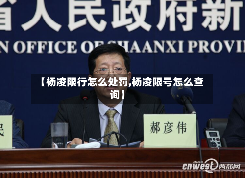 【杨凌限行怎么处罚,杨凌限号怎么查询】
