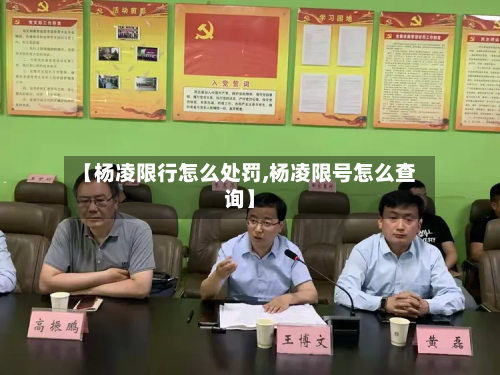 【杨凌限行怎么处罚,杨凌限号怎么查询】-第2张图片