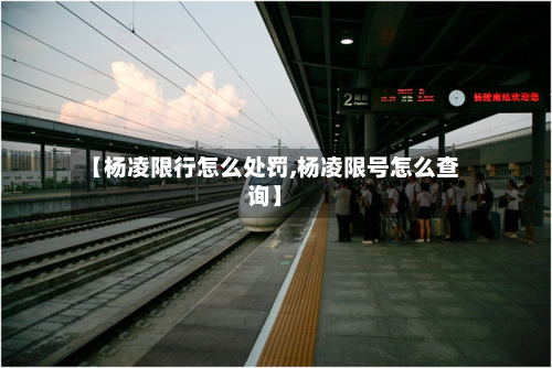 【杨凌限行怎么处罚,杨凌限号怎么查询】-第3张图片