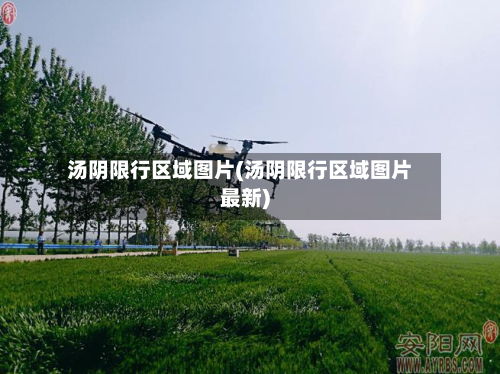 汤阴限行区域图片(汤阴限行区域图片最新)-第2张图片