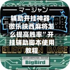 辅助开挂神器“微乐陕西麻将怎么提高胜率”开挂辅助脚本使用教程-第3张图片