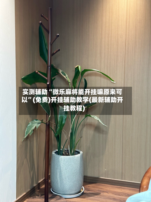 实测辅助“微乐麻将能开挂嘛原来可以”(免费)开挂辅助教学(最新辅助开挂教程)-第2张图片
