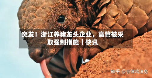 突发!浙江养猪龙头企业,高管被采取强制措施|快讯