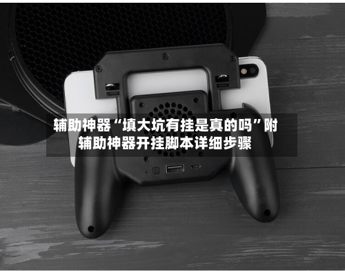 辅助神器“填大坑有挂是真的吗”附辅助神器开挂脚本详细步骤-第3张图片
