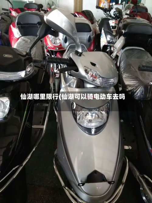 仙湖哪里限行(仙湖可以骑电动车去吗)-第2张图片