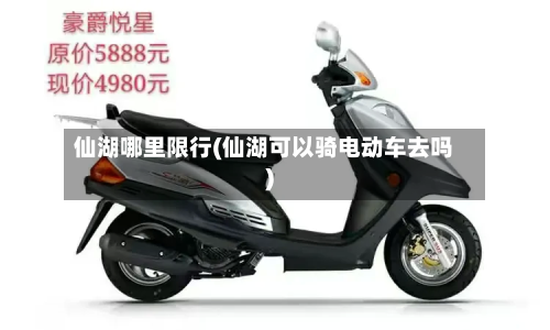 仙湖哪里限行(仙湖可以骑电动车去吗)-第3张图片