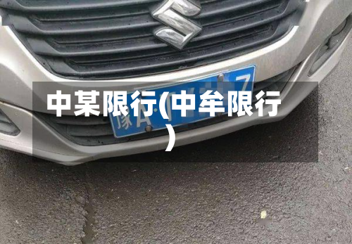 中某限行(中牟限行)-第2张图片