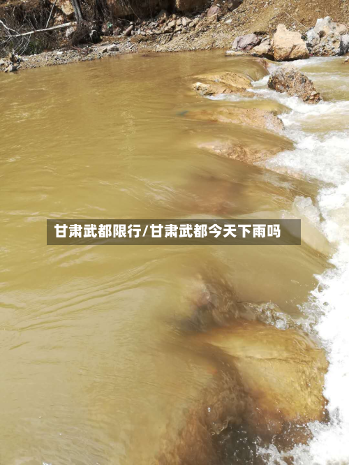 甘肃武都限行/甘肃武都今天下雨吗