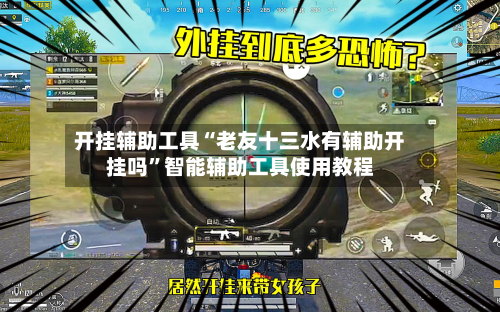 开挂辅助工具“老友十三水有辅助开挂吗”智能辅助工具使用教程-第2张图片