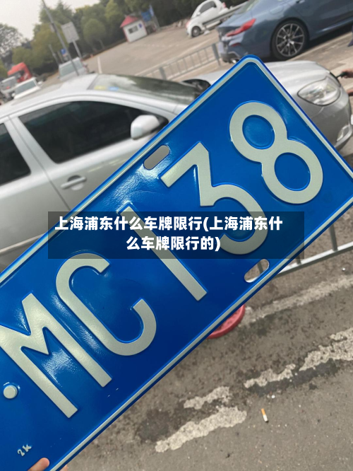 上海浦东什么车牌限行(上海浦东什么车牌限行的)