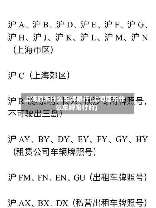 上海浦东什么车牌限行(上海浦东什么车牌限行的)-第2张图片