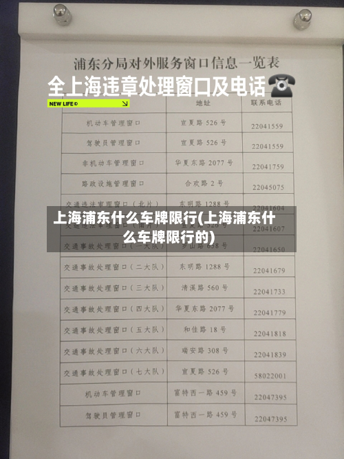 上海浦东什么车牌限行(上海浦东什么车牌限行的)-第3张图片