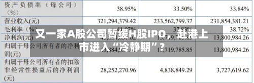 又一家A股公司暂缓H股IPO	，赴港上市进入“冷静期	”？-第2张图片