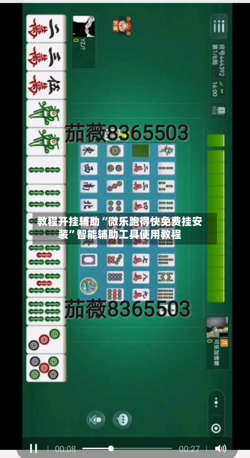 教程开挂辅助“微乐跑得快免费挂安装”智能辅助工具使用教程-第2张图片