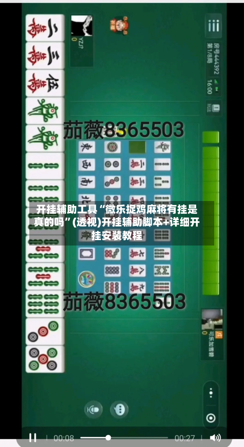 开挂辅助工具“微乐捉鸡麻将有挂是真的吗”(透视)开挂辅助脚本+详细开挂安装教程