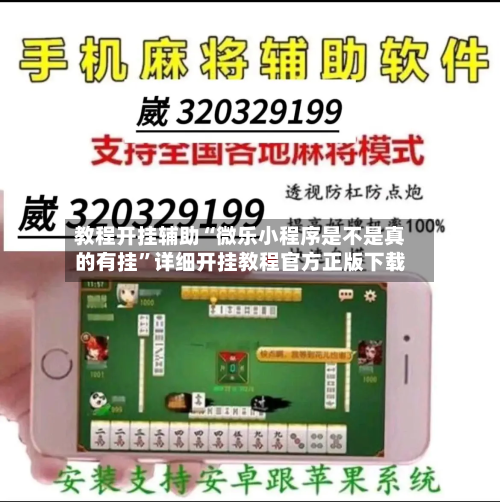 教程开挂辅助“微乐小程序是不是真的有挂”详细开挂教程官方正版下载-第3张图片