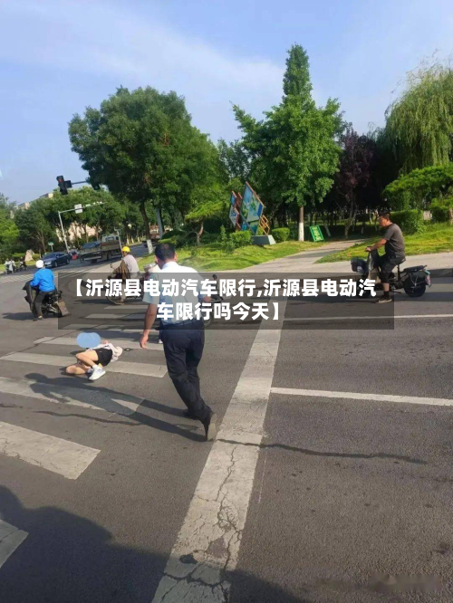 【沂源县电动汽车限行,沂源县电动汽车限行吗今天】