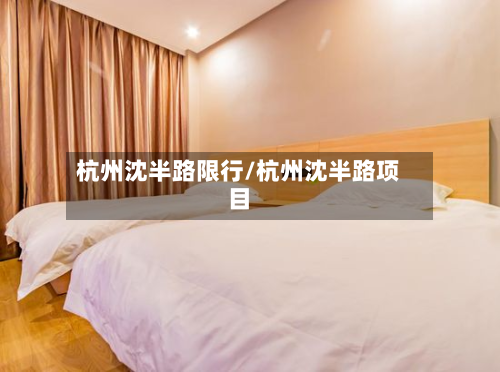 杭州沈半路限行/杭州沈半路项目-第2张图片