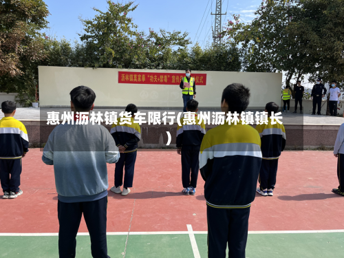 惠州沥林镇货车限行(惠州沥林镇镇长)-第2张图片