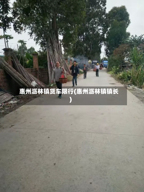 惠州沥林镇货车限行(惠州沥林镇镇长)