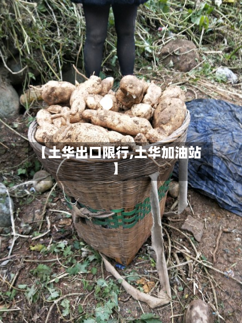 【土华出口限行,土华加油站】