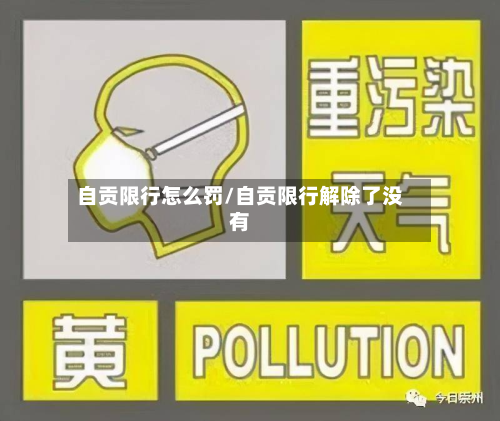 自贡限行怎么罚/自贡限行解除了没有-第3张图片